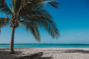 Caraibi per sognare: benvenuti ad Aruba l’Isola della Felicità