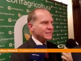 Giansanti “Serve un piano strategico sull’olio d’oliva”