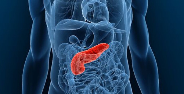 Cancro al pancreas, l’allarme dai batteri
