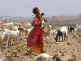 Fiore del deserto, storia di una donna