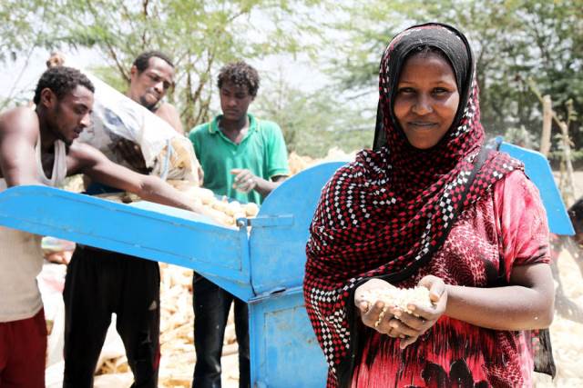 Siccità in Etiopia, la Fao lancia l’allarme