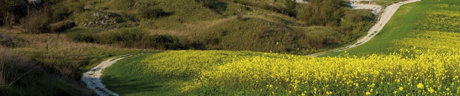 Toscana ovunque bella, ecco i tesori della regione