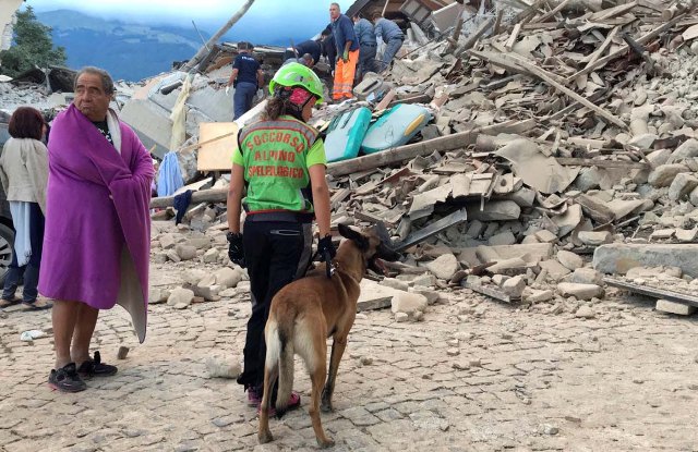 Terremoto in centro Italia, soccorsi e solidarietà
