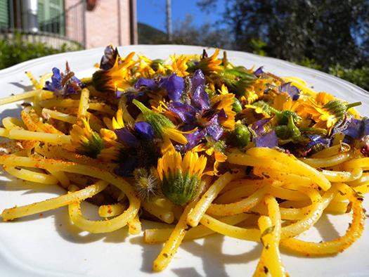 L’Università di Pisa: Fiori, buoni da mangiare!