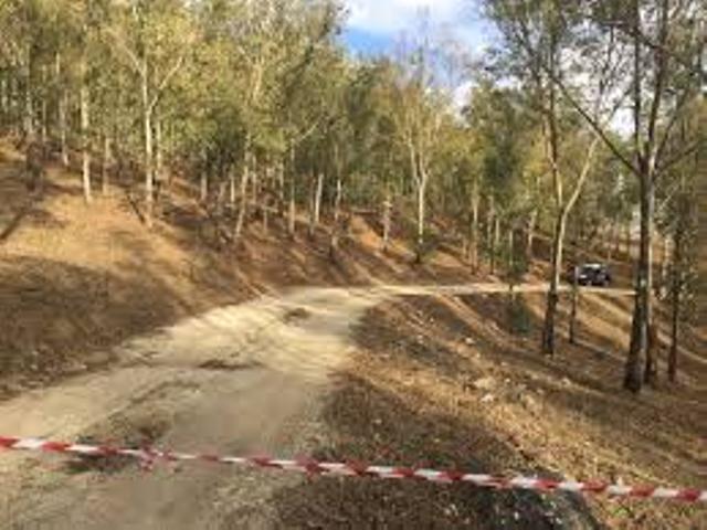 Roccamena (Palermo), scoperto un cimitero di mafia