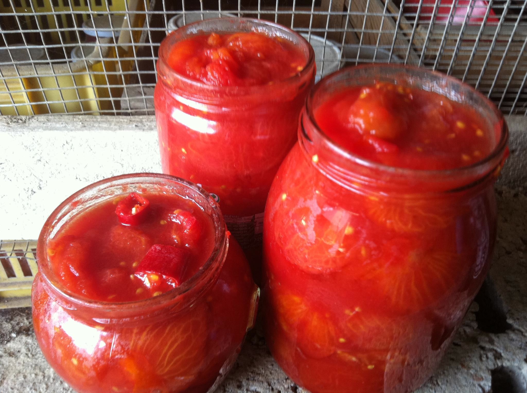 In mostra a Napoli Sua maestà il pomodoro