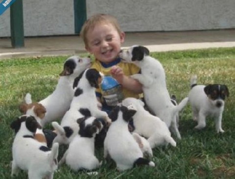 Animali e bambini: stare insieme fa bene a entrambi