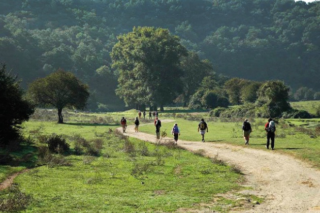 Via Francigena patrimonio dell’umanità, sette regioni lanciano l’appello all’Unesco