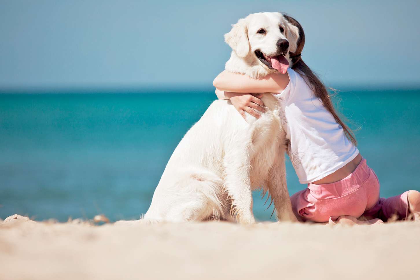 In vacanza con cane e gatto, ecco 5 hotel pet friendly per soggiorni super!