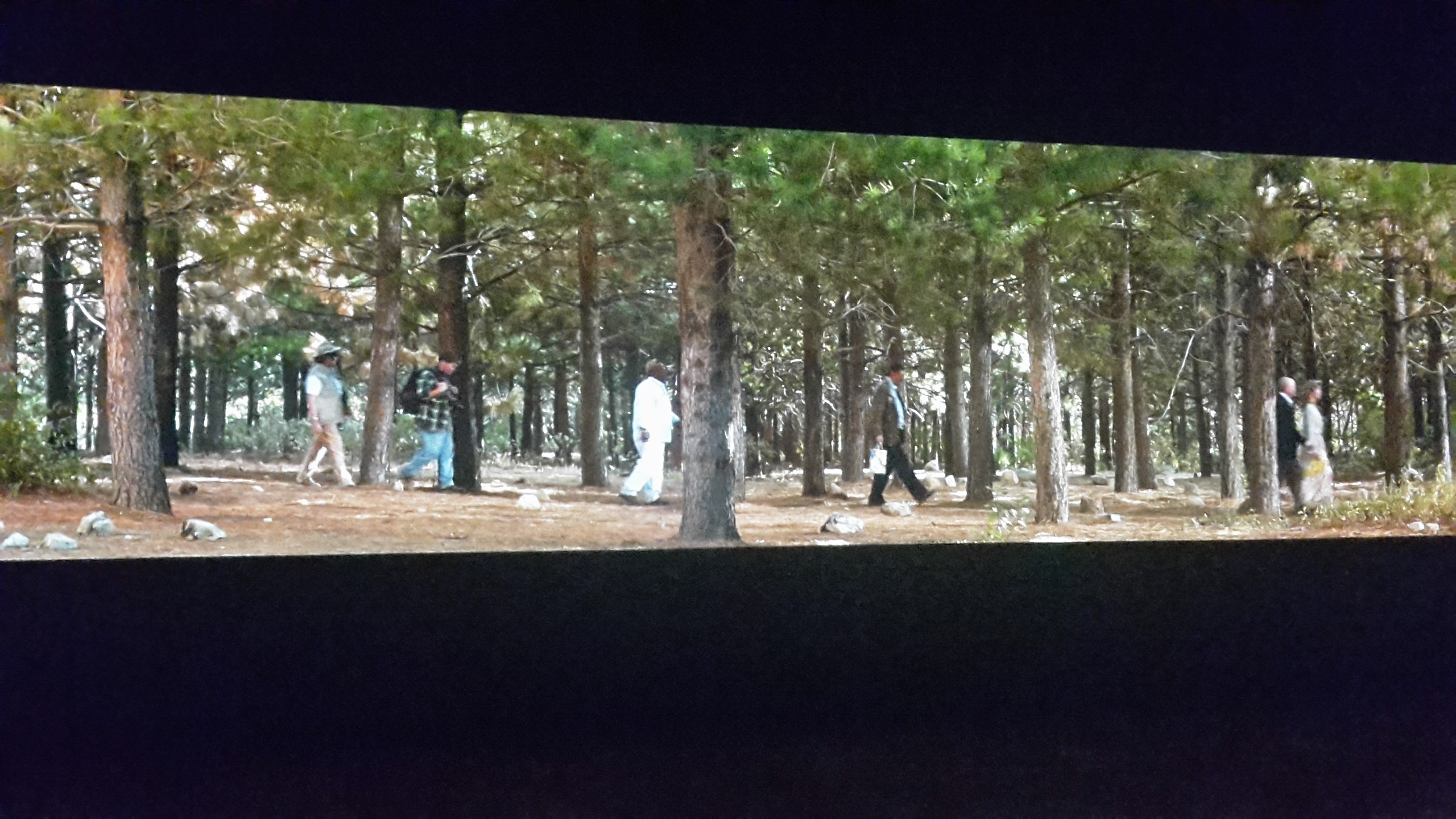 Il maestro della videoarte Bill Viola in mostra a Firenze