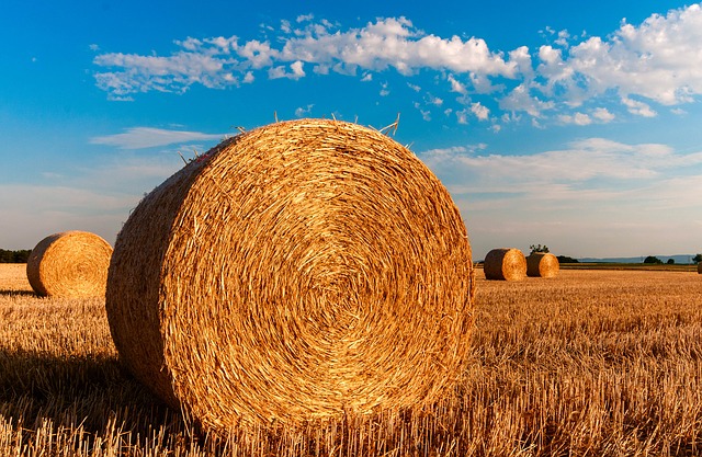 Agricoltura, la Toscana sostiene attività dimostrative e informazione