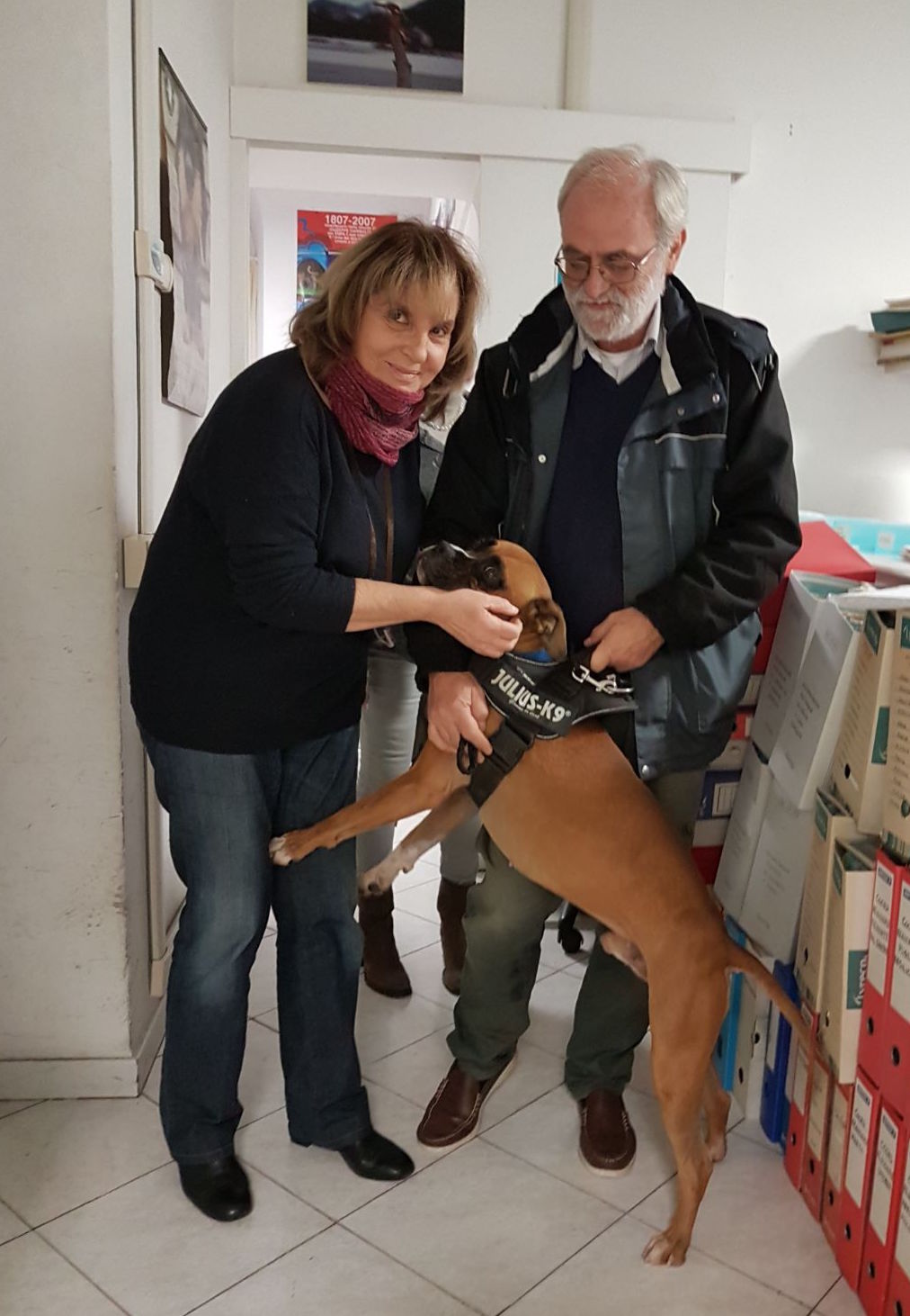 Animali. Ettore, il boxer perso a Roma, riabbraccia a Londra il suo proprietario