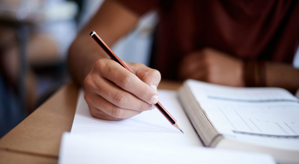Perché è inaccettabile eliminare il tema letterario