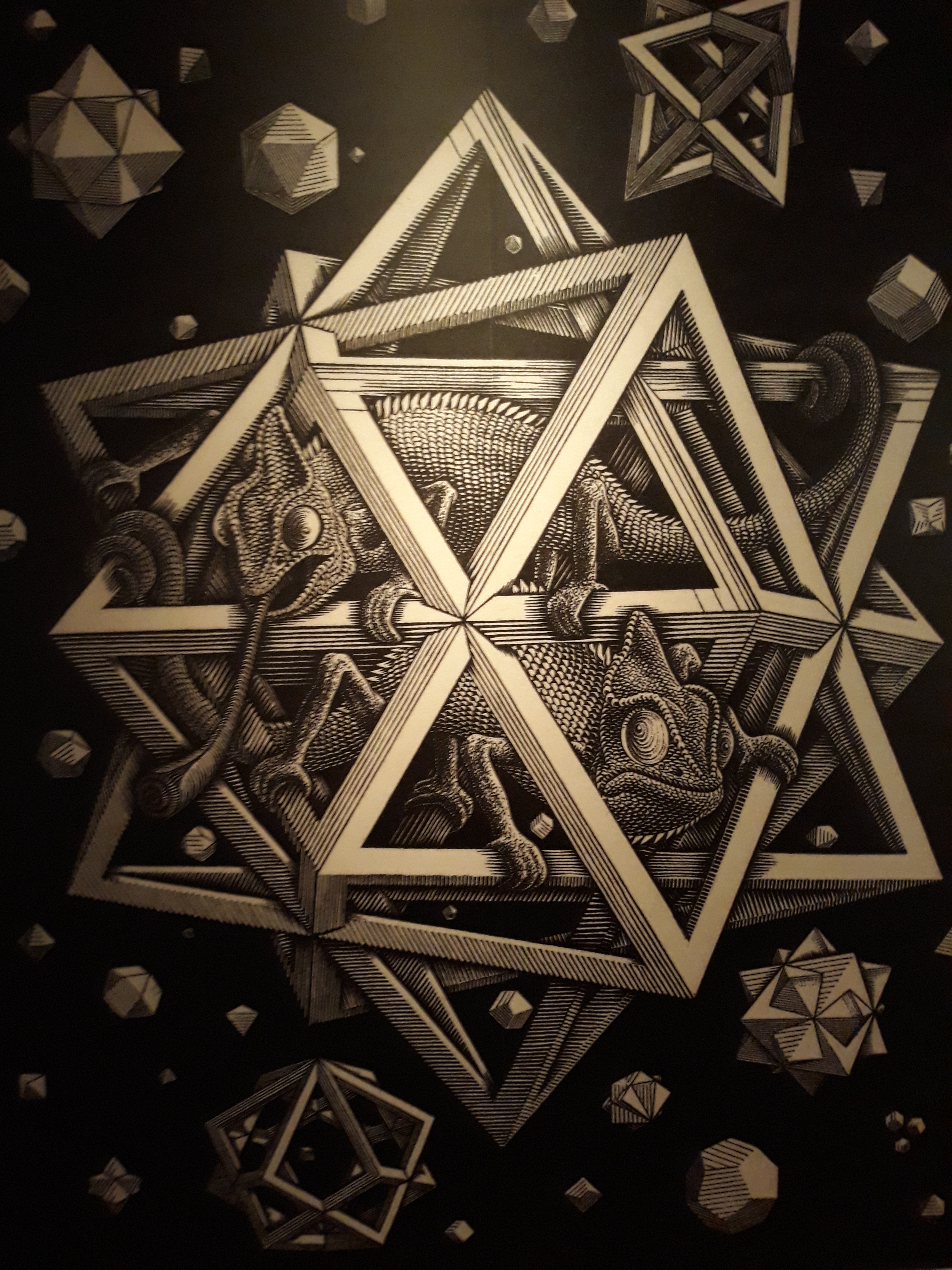 L’Universo di Escher incanta Pisa, mostra prorogata fino a domenica 11 febbraio L’Universo di Escher incanta Pisa, mostra prorogata fino a domenica 11 febbraio