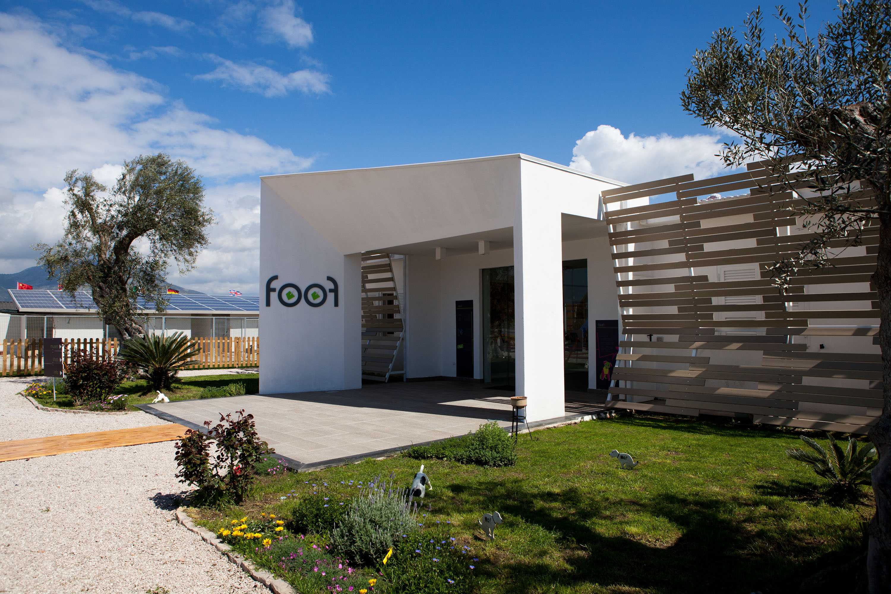 Foof, il primo Museo del Cane che rivoluziona l’idea di canile
