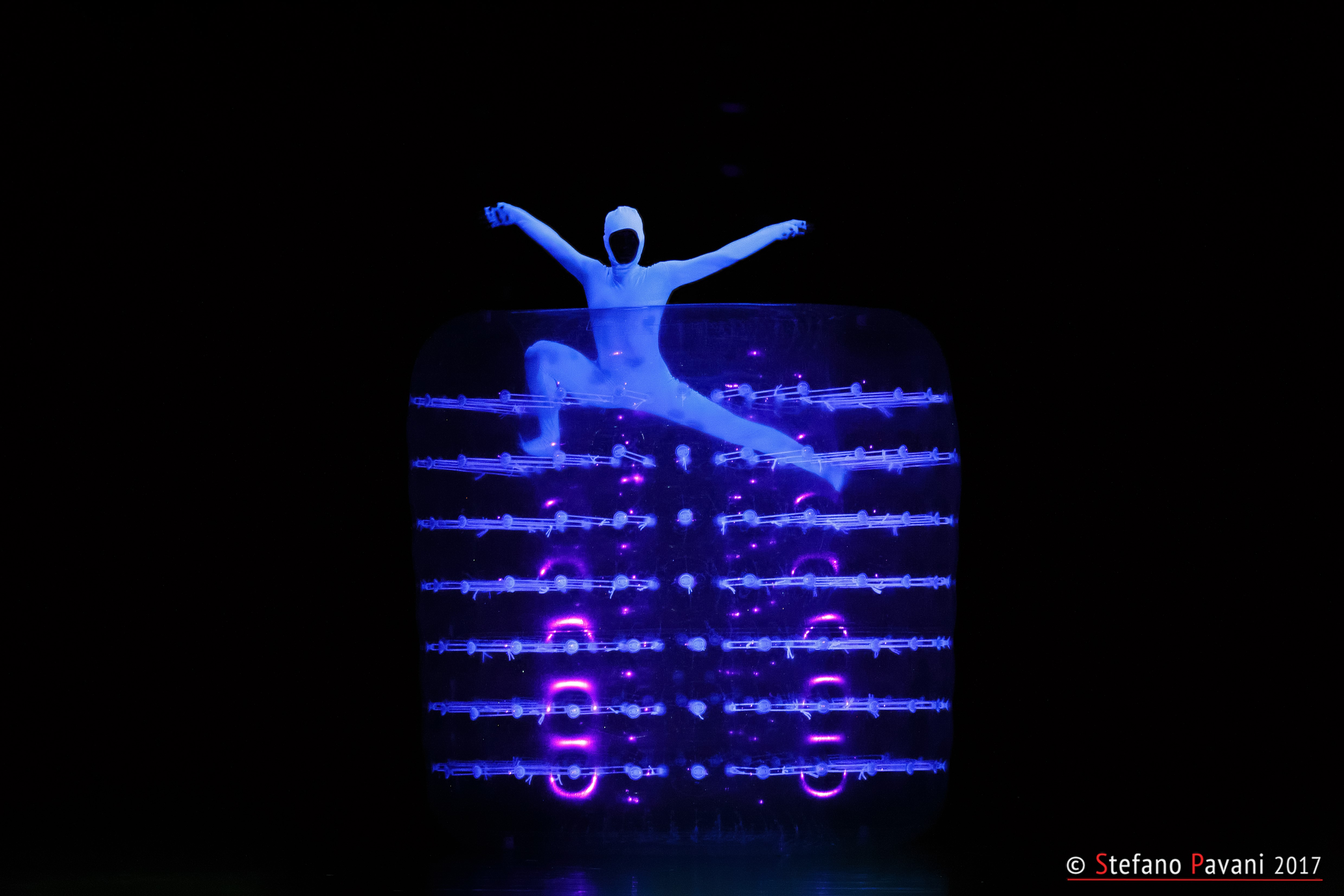 Appuntamento con la danza l'11 marzo al Teatro Verdi di Firenze: in scena Night Garden, spettacolo di Evolution Dance Theater.