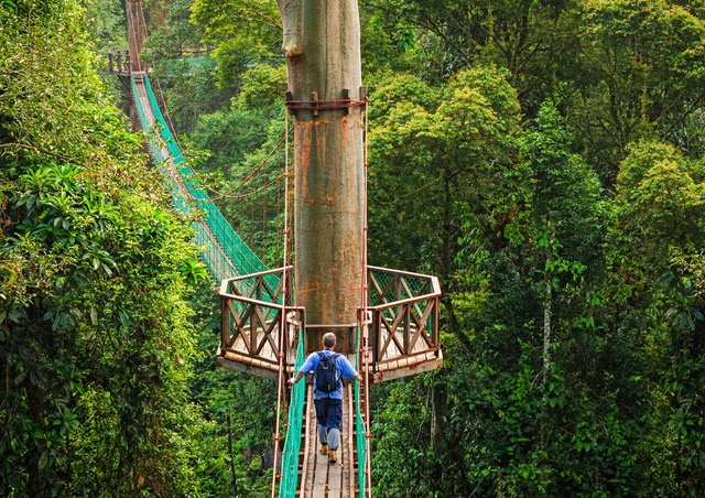 Nasce WWF Travel, per una nuova dimensione di viaggio