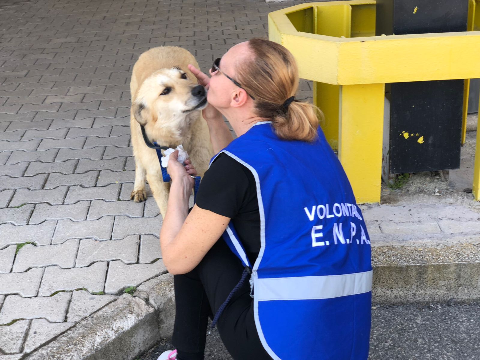 Animali, una storia a lieto fine da Kabul all’Italia grazie all’impegno di Enpa e Nowzad