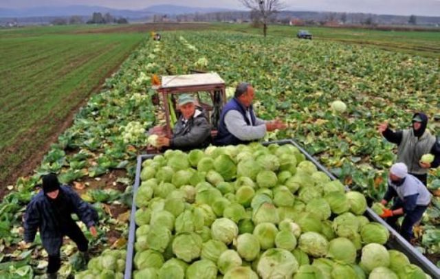 Indicazione geografica sull’etichetta: così si vendono meglio i prodotti alimentari