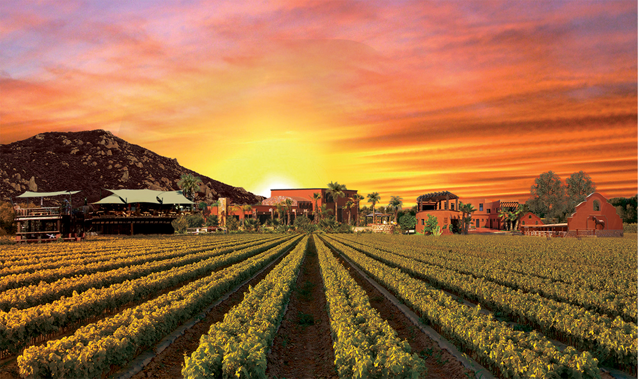Messico, il mare da favola di Ensenada e i vini della Valle di Guadalupe