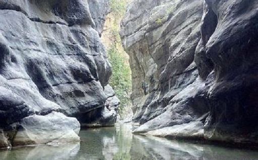 raganello