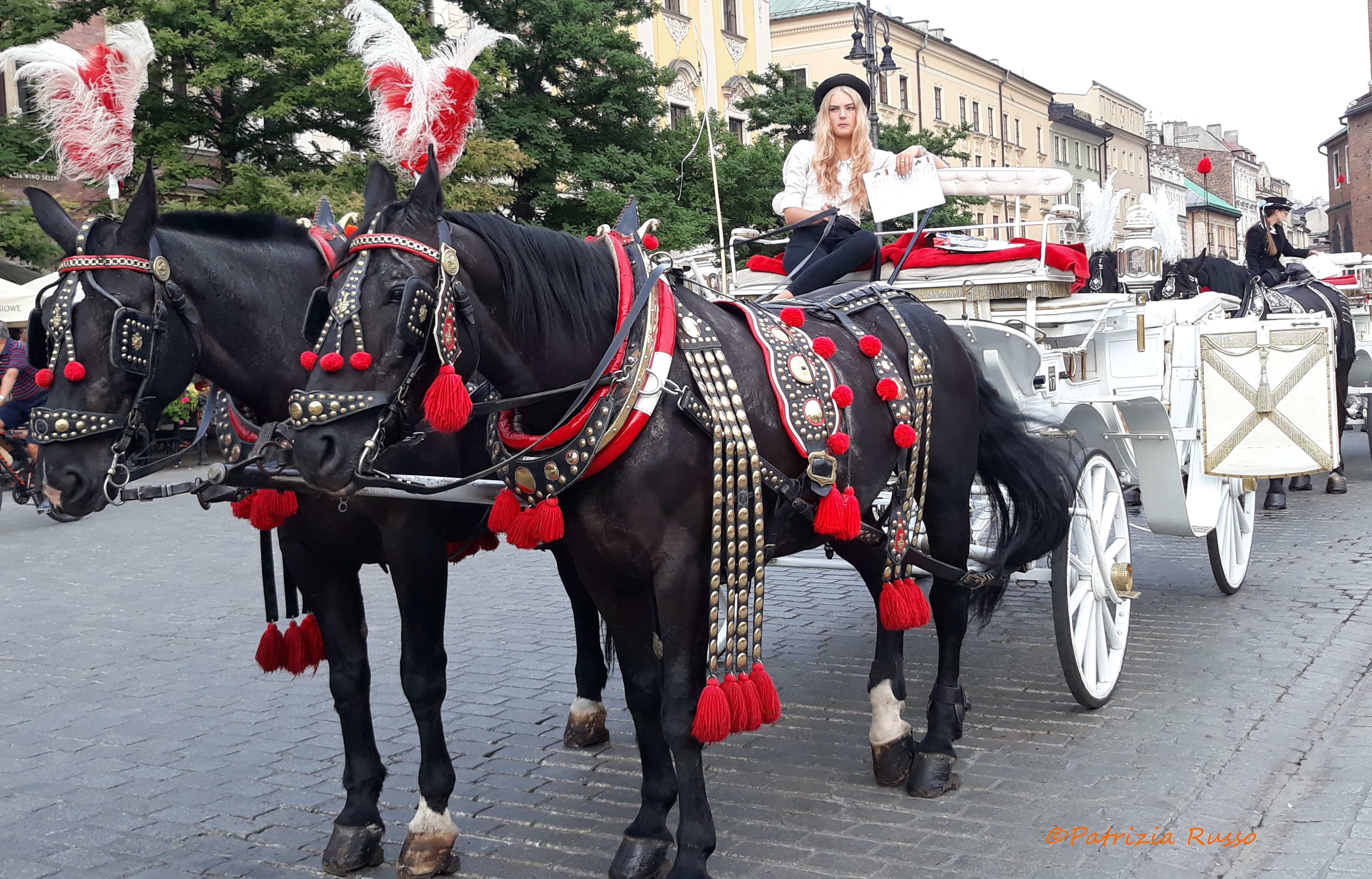 Polonia, Viaggio a Cracovia: crocevia di arte, storia e leggende