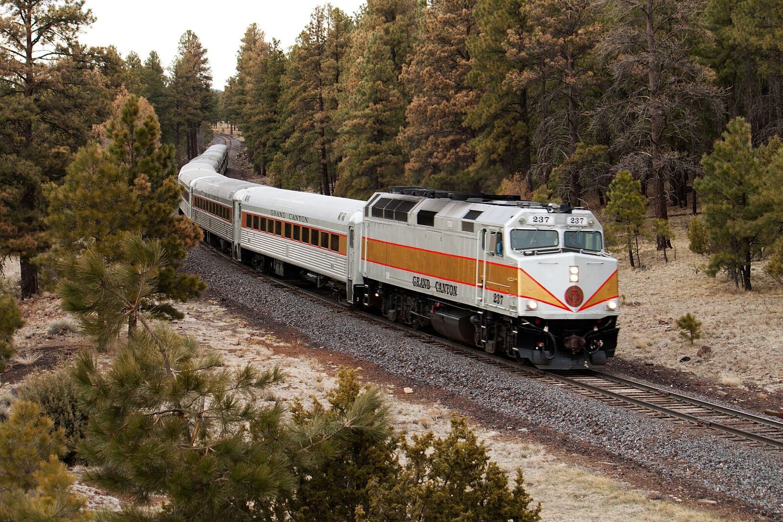 Arizona, viaggio alla scoperta del Grand Canyon su un treno storico