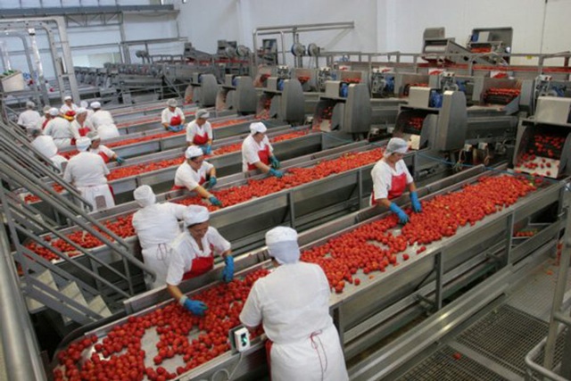 Rapporto Bankitalia: La Puglia cresce a “ritmo contenuto”
