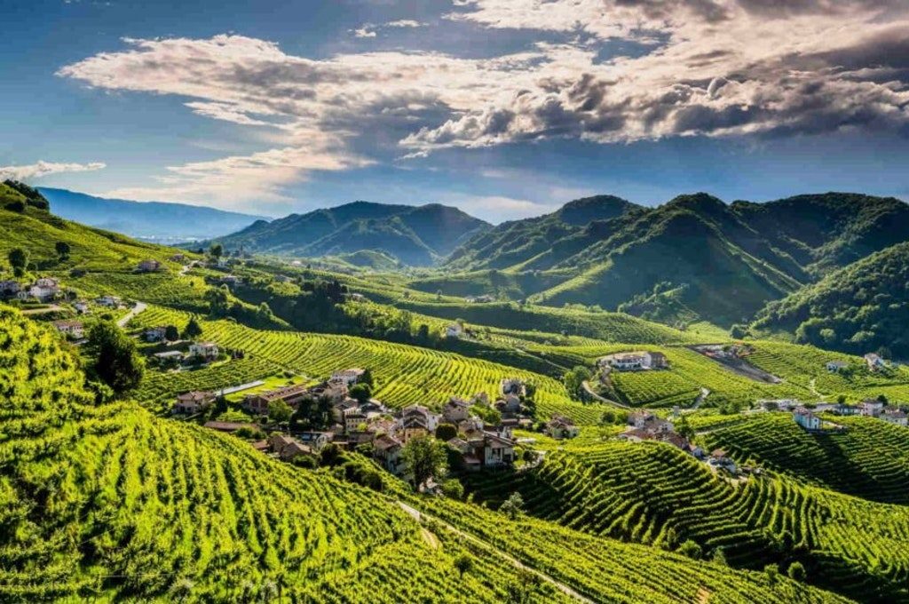 Colline del Prosecco di Conegliano e Valdobbiadene sono patrimonio UNESCO