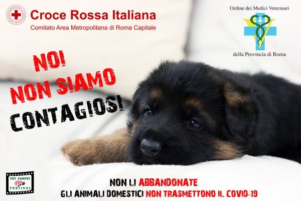 #NoiNonSiamoContagiosi, al via la campagna CRI e Ordine Medici Veterinari di RomaA