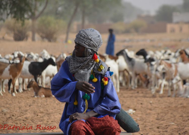 Senegal: Segatta, Il mercato degli animali (Ph. P.Russo/IT24).