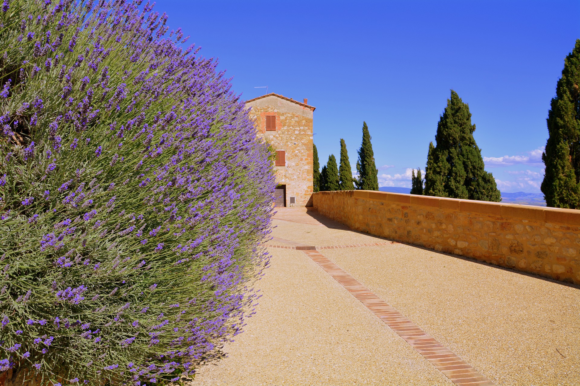 Lavanda in Toscana (ph. Gianni Crestani / Pixabay).