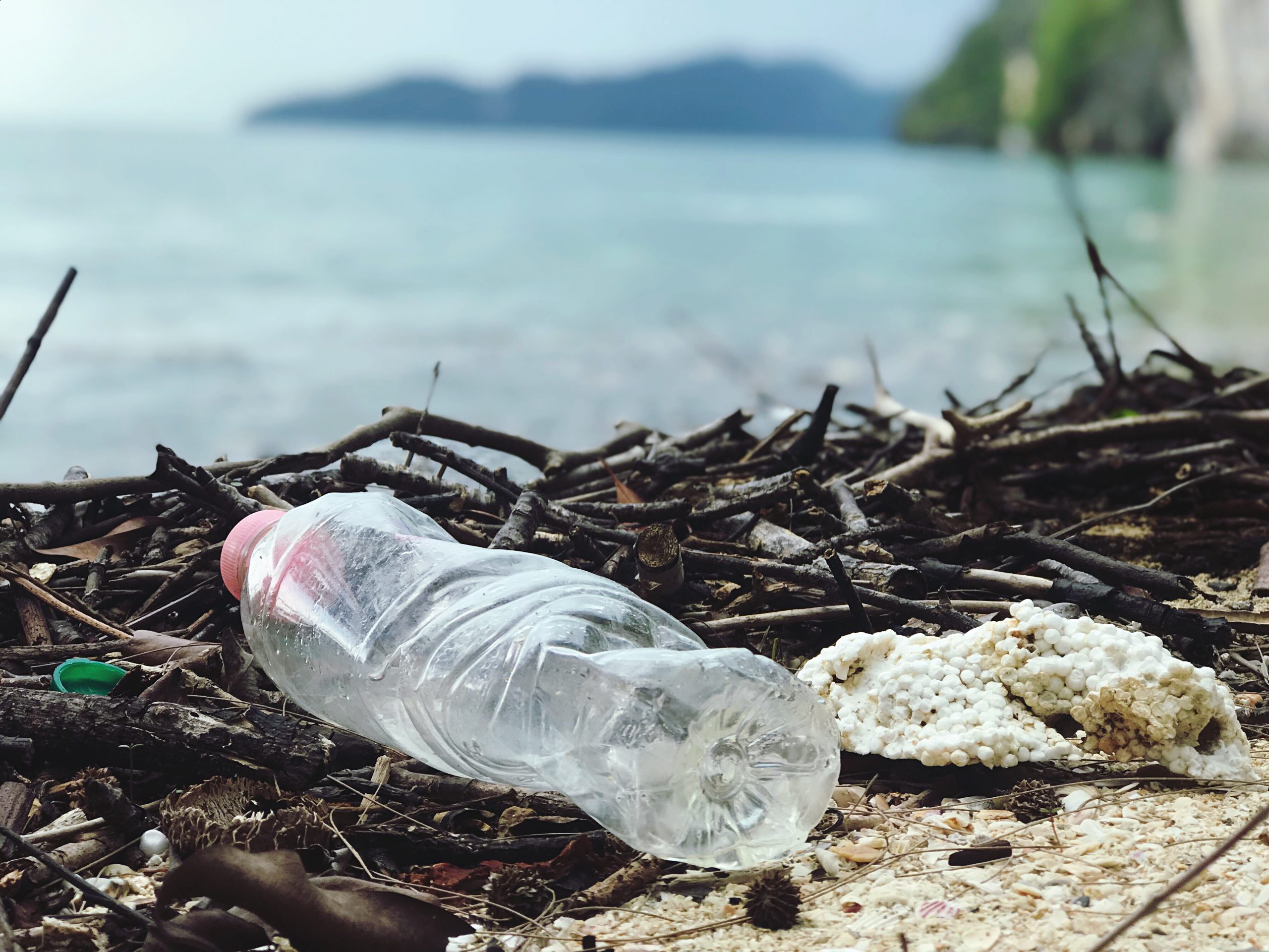 Lotta alla plastica nella Giornata della Terra