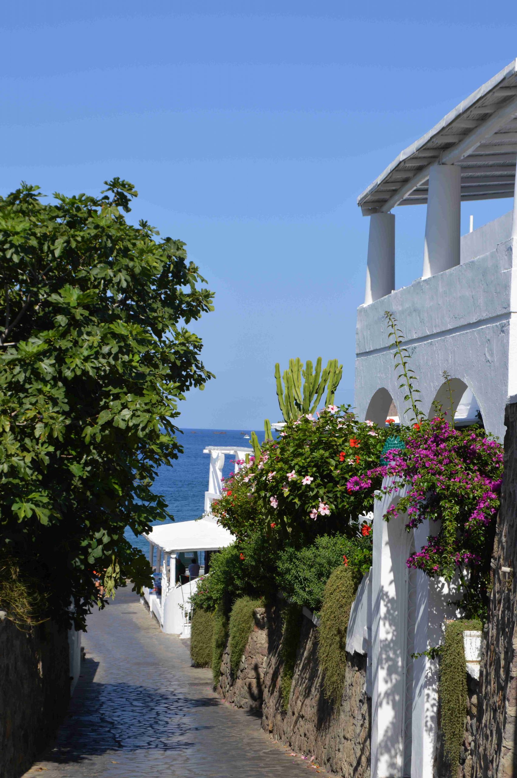 Scorcio di Panarea (Ph. P.Russo/IN24).