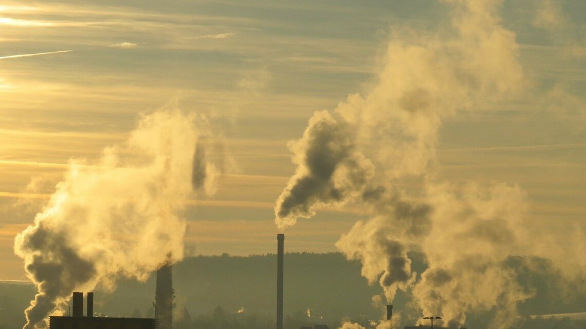 Transizione ecologica, di cosa stiamo parlando? Transizione ecologica, di cosa stiamo parlando?
