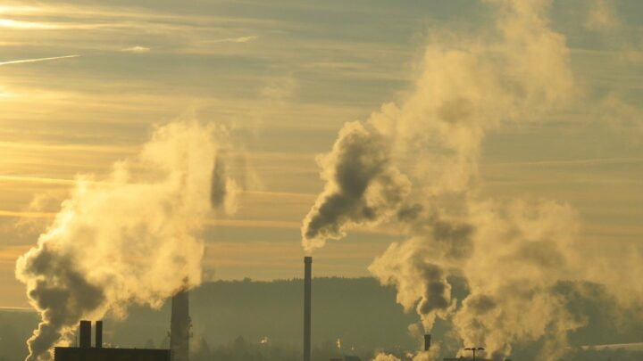 Transizione ecologica, di cosa stiamo parlando?