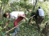 Floridiana, volontari in azione per la cura del verde