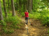 Cani a rischio in primavera, ecco i consigli dei veterinari di EpiCura