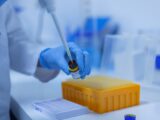 Post-doctoral fellowship, Fondazione Umberto Veronesi premia quattro ricercatrici e un ricercatore dell’Università di Torino