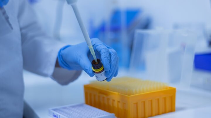 Post-doctoral fellowship, Fondazione Umberto Veronesi premia quattro ricercatrici e un ricercatore dell’Università di Torino