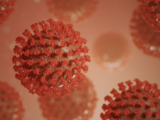 Gencovid, un anno di ricerca sul virus