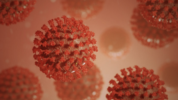 Gencovid, un anno di ricerca sul virus