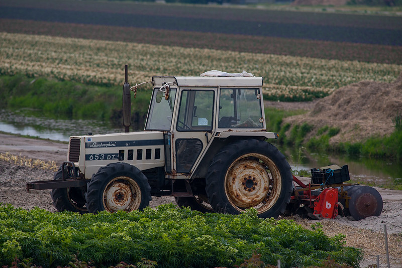 Sanatoria lavoro irregolare, OCPI: Successo a metà per l’emersione degli eztracomunitari Sanatoria lavoro irregolare, OCPI: Successo a metà per l’emersione degli eztracomunitari