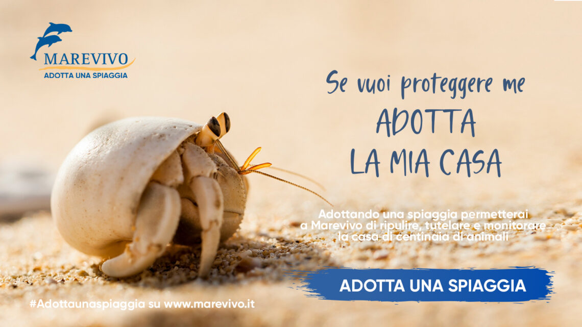 Adotta una spiaggia, al via la nuova campagna di Marevivo Adotta una spiaggia, al via la nuova campagna di Marevivo