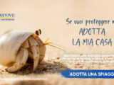 Adotta una spiaggia, al via la nuova campagna di Marevivo
