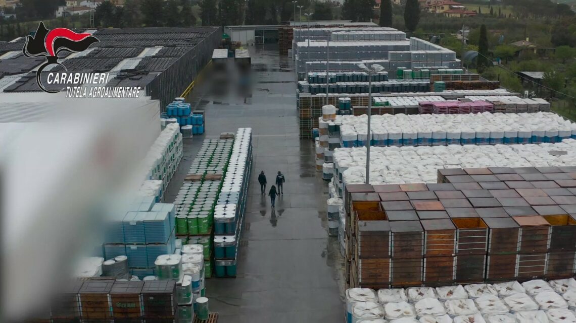 Falso pomodoro 100% italiano sequestrato nel livornese, 6 indagati Falso pomodoro 100% italiano sequestrato nel livornese, 6 indagati