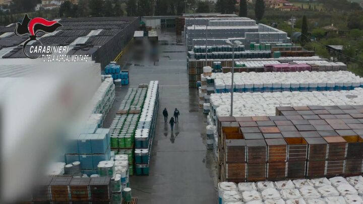 Falso pomodoro 100% italiano sequestrato nel livornese, 6 indagati