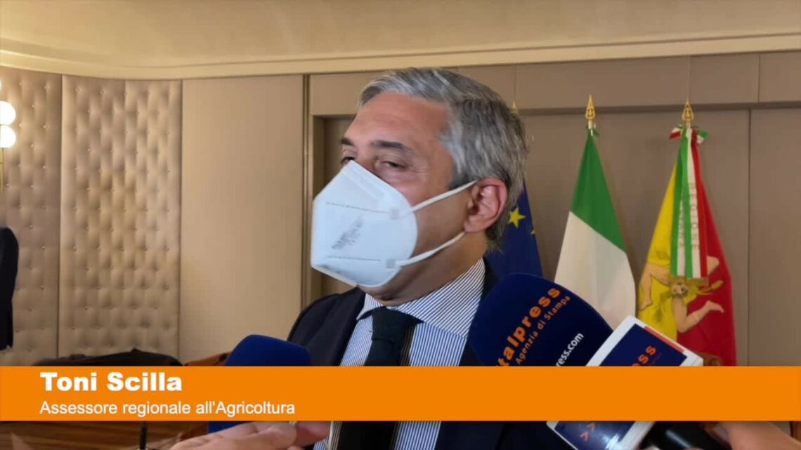Quindici milioni per le aziende agricole siciliane Quindici milioni per le aziende agricole siciliane