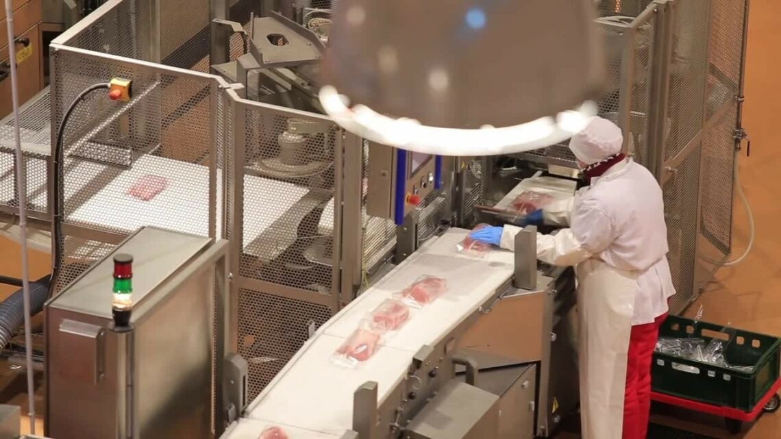 Ue, calo occupazione colpisce soprattutto i giovani Ue, calo occupazione colpisce soprattutto i giovani