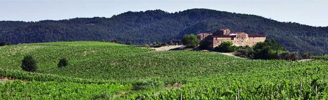 Carmignano tra vigne, arte e cultura Carmignano tra vigne, arte e cultura